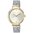 Reloj Real Bear bicolor de acero/IP dorado con correa Mesh